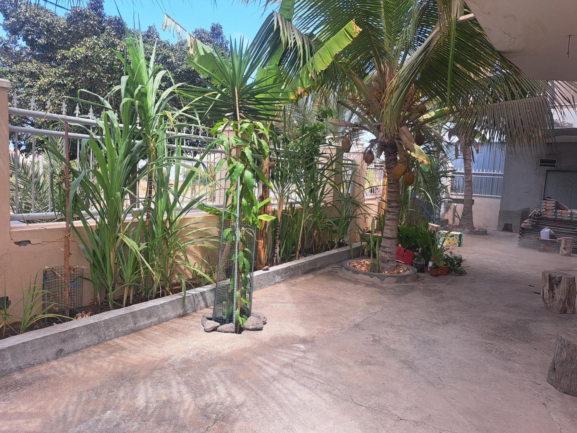 Barros Homestay 타라팔 외부 사진